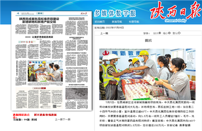 豪运国际西北集团珑樾府项目高温慰问——《陕西日报》